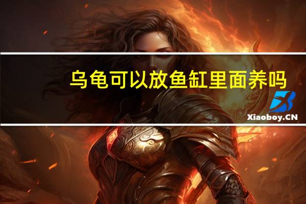 乌龟可以放鱼缸里面养吗