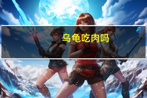 乌龟吃肉吗