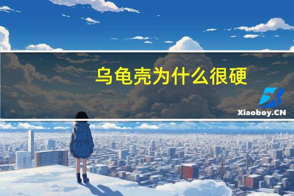 乌龟壳为什么很硬