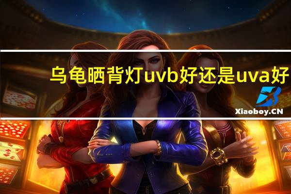 乌龟晒背灯uvb好还是uva好