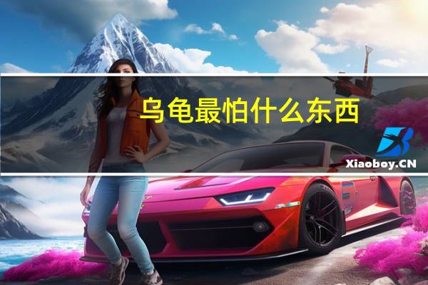 乌龟最怕什么东西