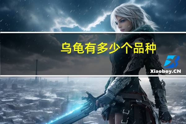 乌龟有多少个品种