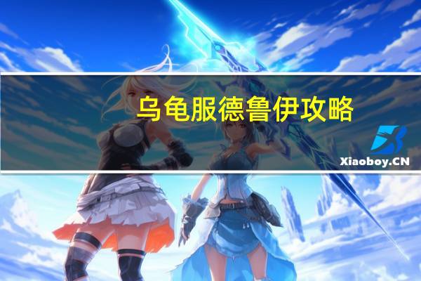 乌龟服德鲁伊攻略