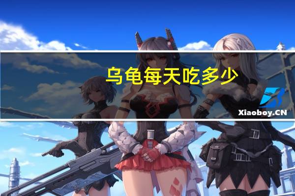 乌龟每天吃多少