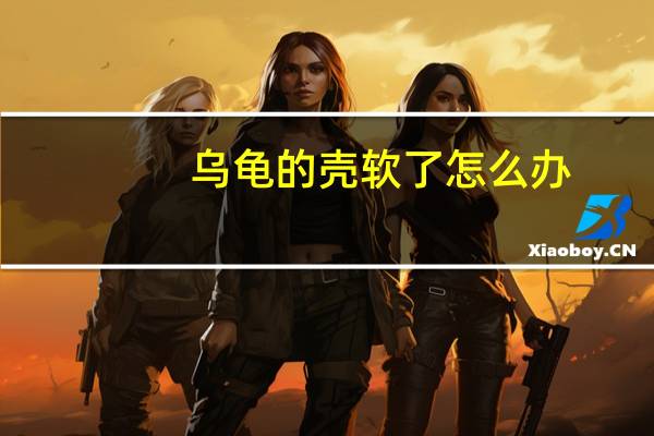 乌龟的壳软了怎么办