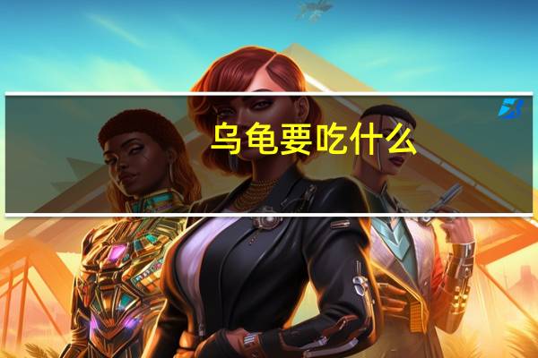 乌龟要吃什么