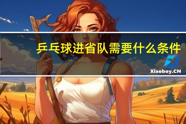 乒乓球进省队需要什么条件