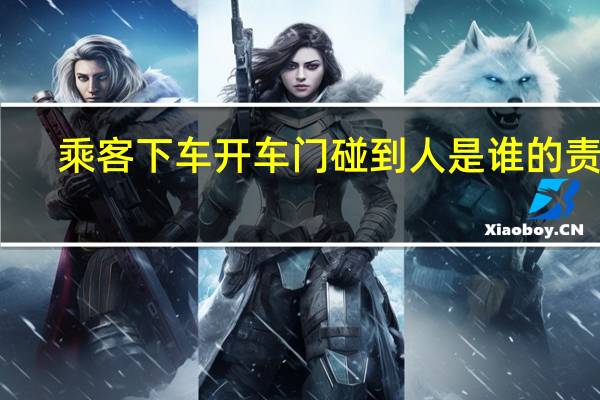 乘客下车开车门碰到人是谁的责任