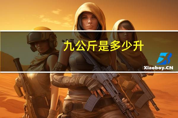 九公斤是多少升