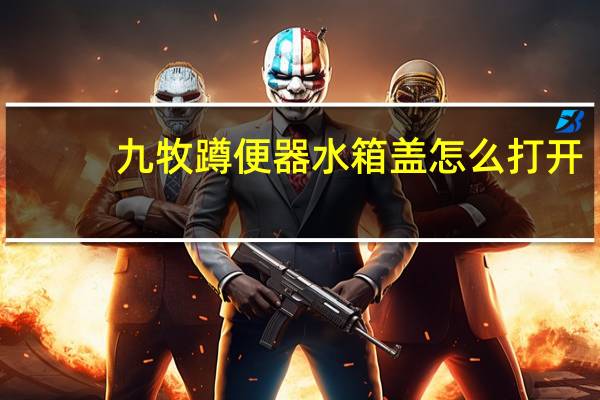 九牧蹲便器水箱盖怎么打开