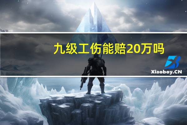 九级工伤能赔20万吗