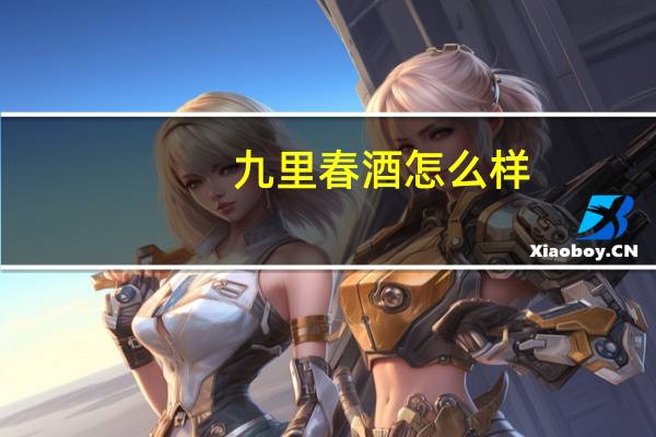 九里春酒怎么样