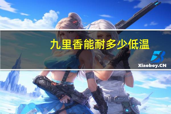 九里香能耐多少低温