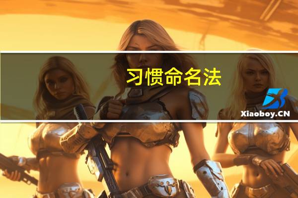 习惯命名法