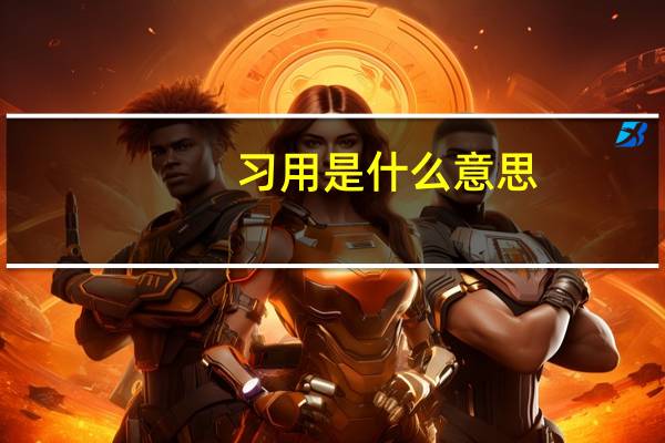 习用是什么意思