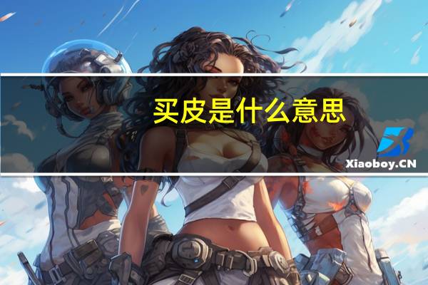 买皮是什么意思
