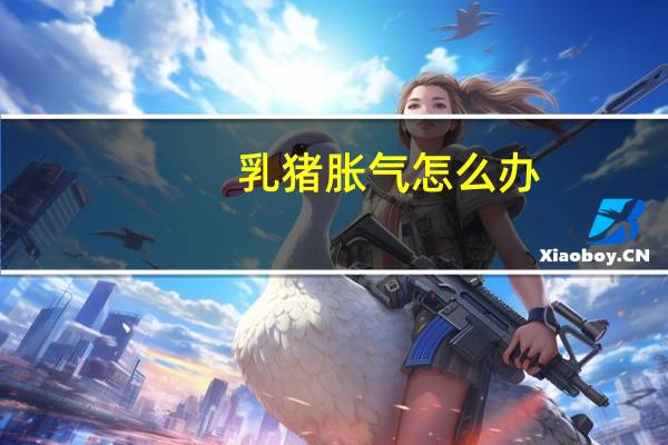 乳猪胀气怎么办