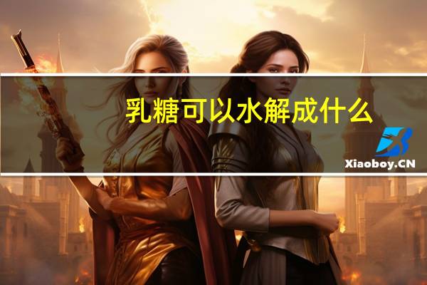 乳糖可以水解成什么