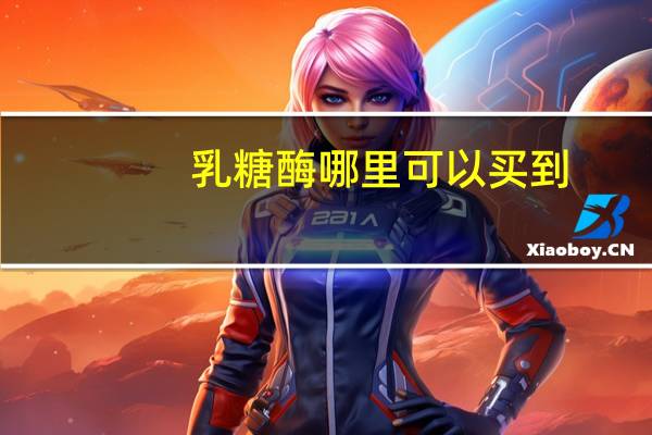 乳糖酶哪里可以买到