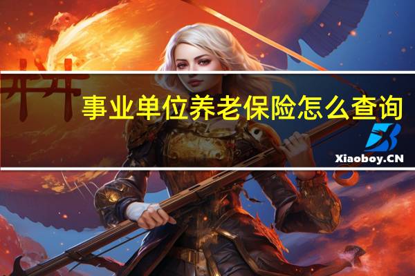 事业单位养老保险怎么查询