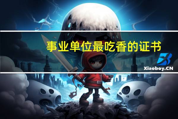 事业单位最吃香的证书