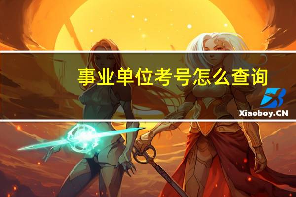事业单位考号怎么查询