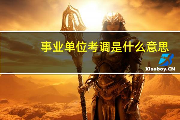 事业单位考调是什么意思