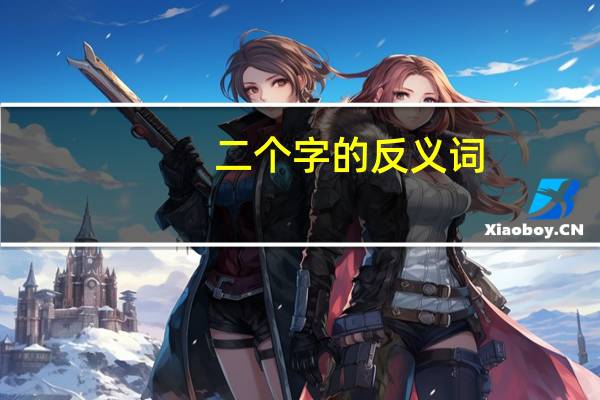 二个字的反义词