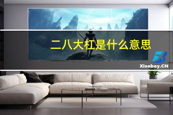 二八大杠是什么意思