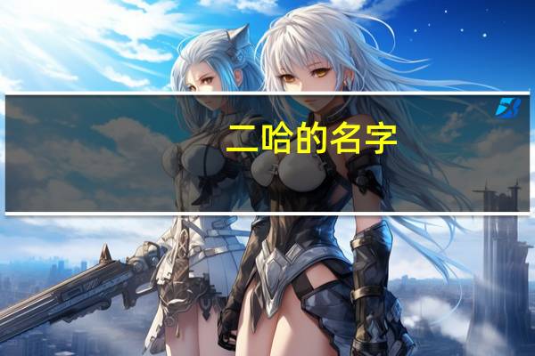 二哈的名字