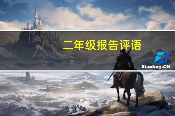 二年级报告评语