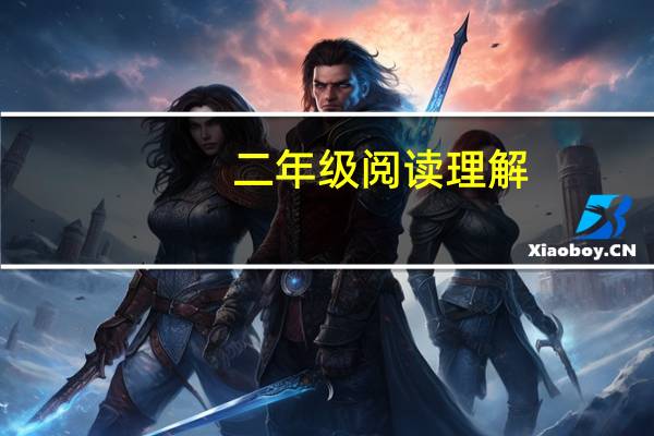 二年级阅读理解