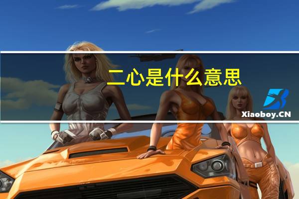 二心是什么意思