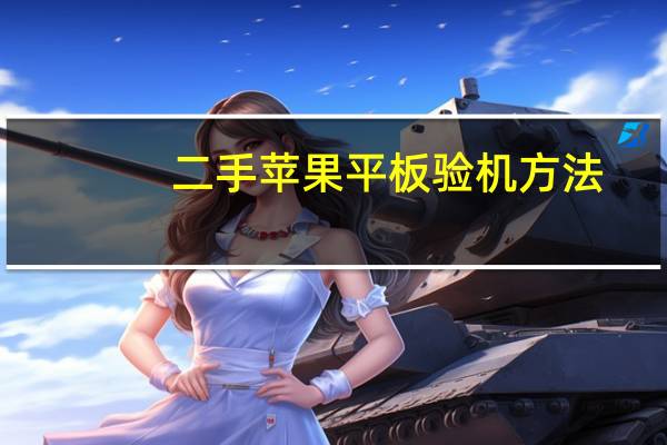 二手苹果平板验机方法