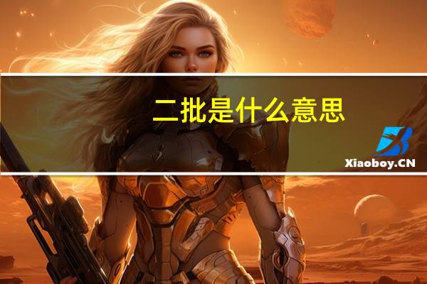二批是什么意思?