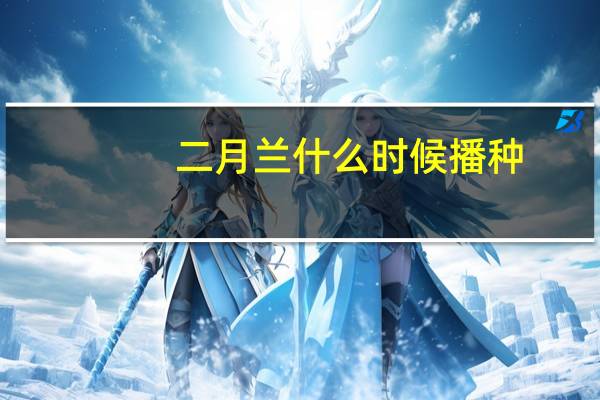 二月兰什么时候播种