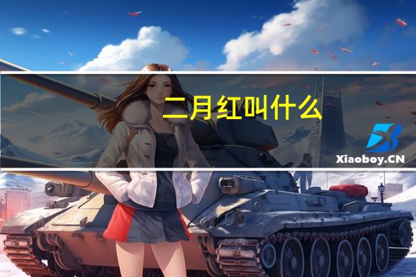 二月红叫什么