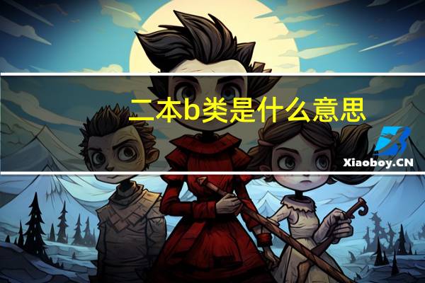 二本b类是什么意思
