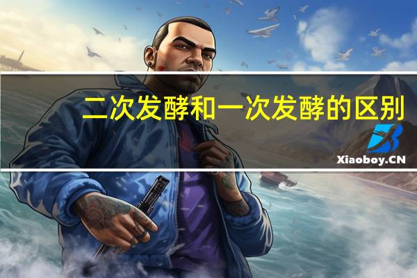 二次发酵和一次发酵的区别