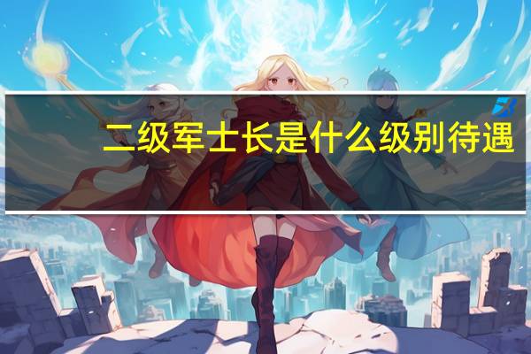 二级军士长是什么级别待遇