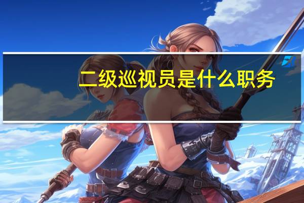 二级巡视员是什么职务