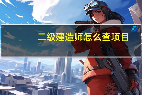 二级建造师怎么查项目