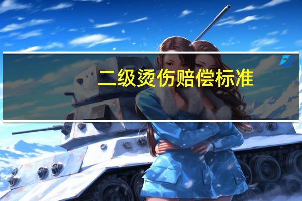 二级烫伤赔偿标准