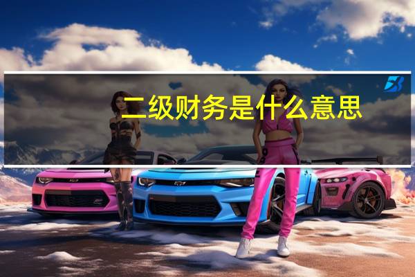 二级财务是什么意思