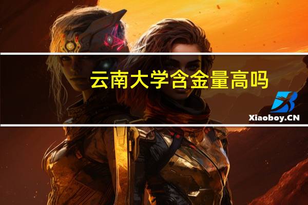 云南大学含金量高吗