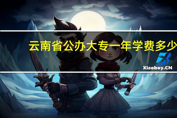 云南省公办大专一年学费多少
