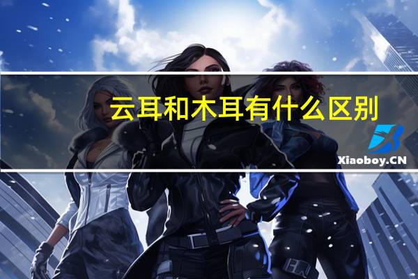 云耳和木耳有什么区别