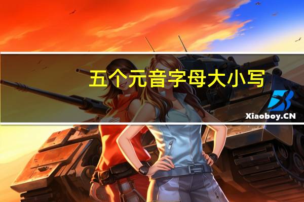 五个元音字母大小写，怎么写