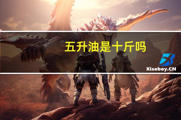 五升油是十斤吗