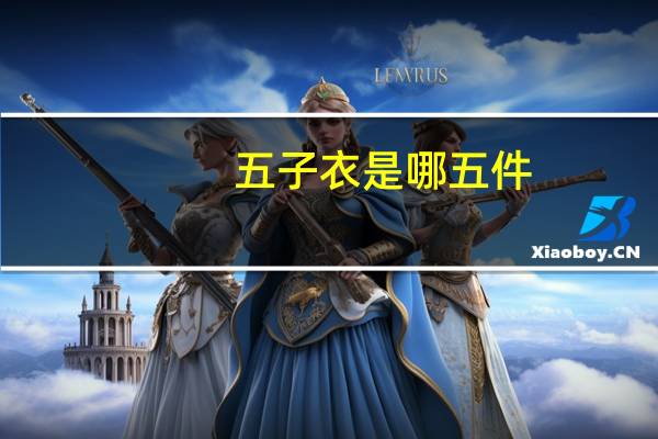 五子衣是哪五件